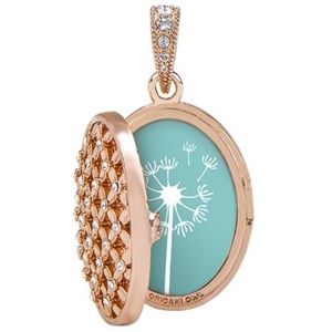 Origami Owl Rose Gold Wish Locket Necklace